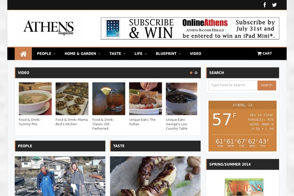 Bzine theme site design template sample