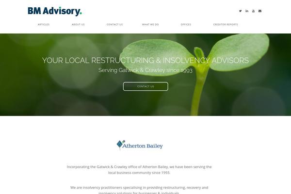 Parallax Pro theme site design template sample