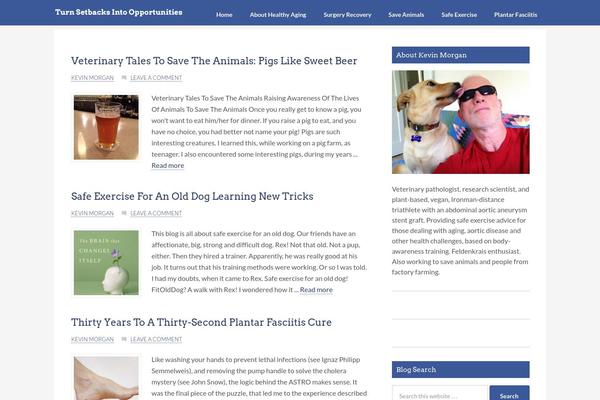 Site using Better WordPress Recent Comments plugin