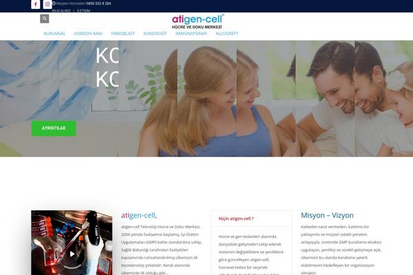Kallyas theme site design template sample