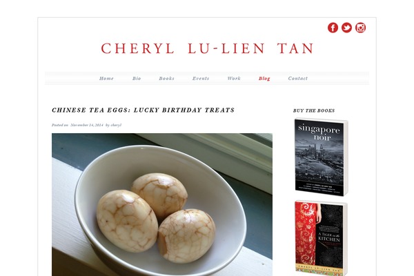 Twentytenchild theme site design template sample