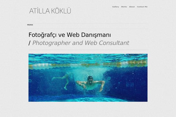 Workality Lite theme site design template sample