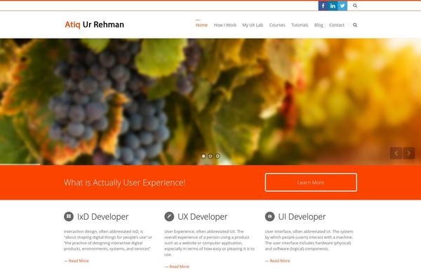 Site using All-in-one-seo-pack-pro plugin