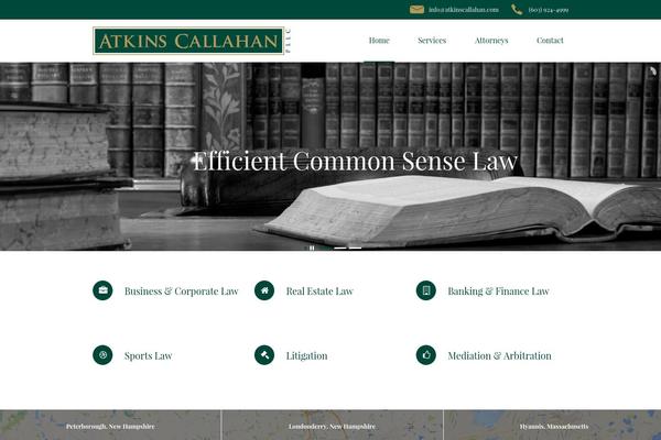 Atkins theme site design template sample