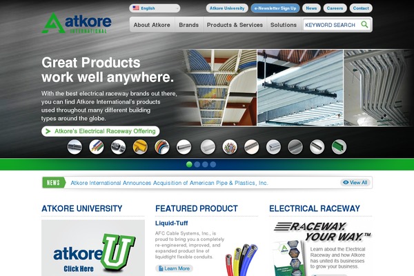 burakoff theme websites examples