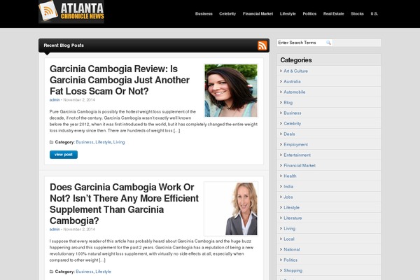 Gadgetine theme site design template sample