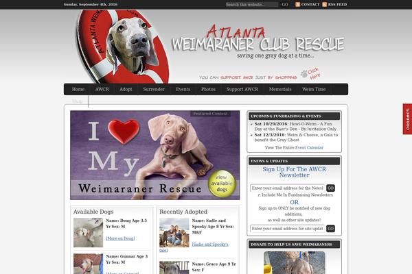 Streamline theme site design template sample