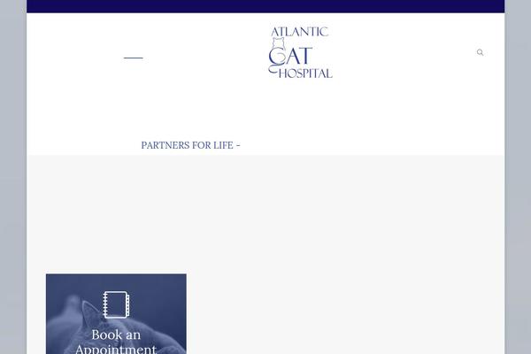 Site using Lifelearn-accessibility plugin