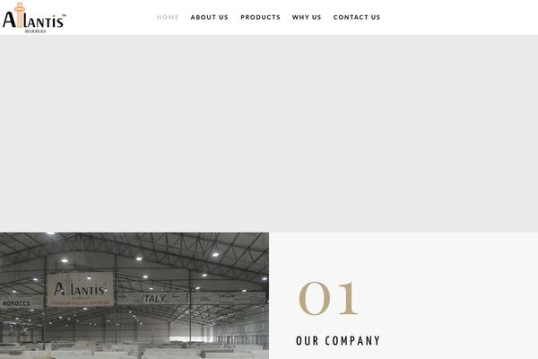 Engic theme site design template sample