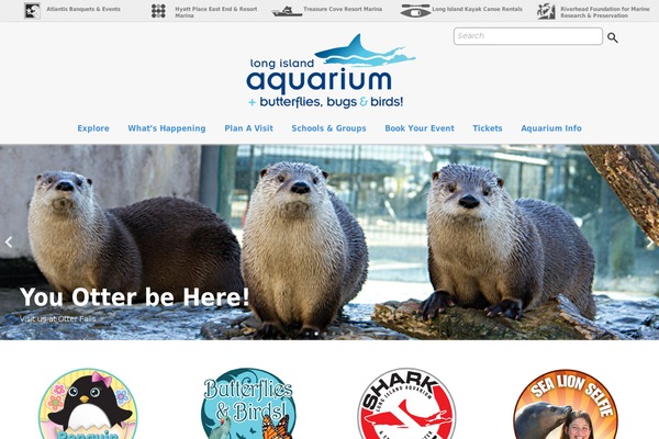 Site using Constant Contact for WordPress plugin