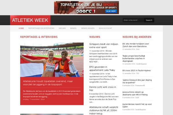 Reporter theme site design template sample