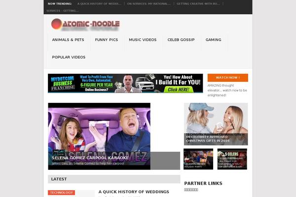 Point theme site design template sample
