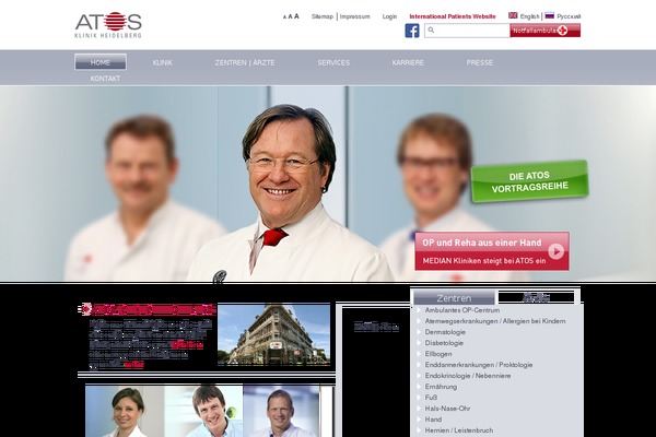 atos theme websites examples