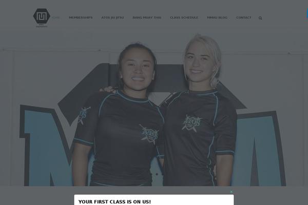 Site using Easy FancyBox plugin