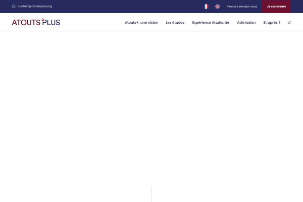Kingster theme site design template sample