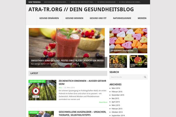 Point theme site design template sample