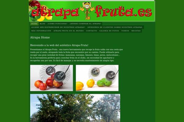 Thesis_182 theme site design template sample