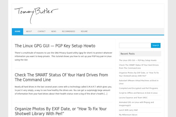 Iconic One theme site design template sample