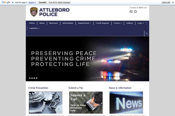 Modernize theme site design template sample