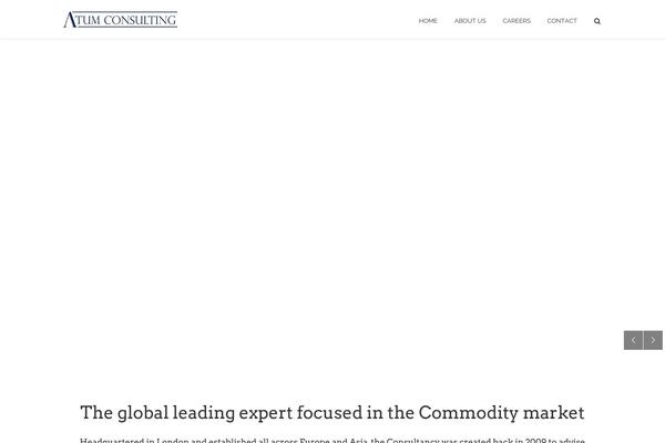 atum-consulting.com site used Towerpress
