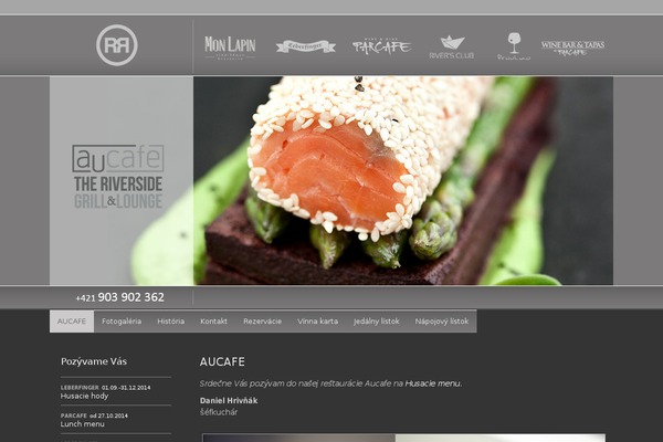 Site using Elementor plugin