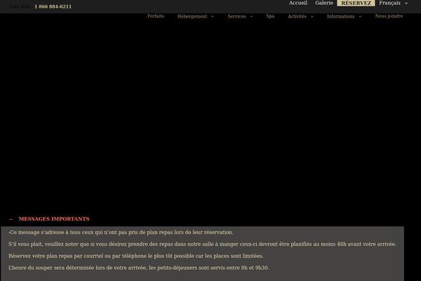 Avada Child theme site design template sample