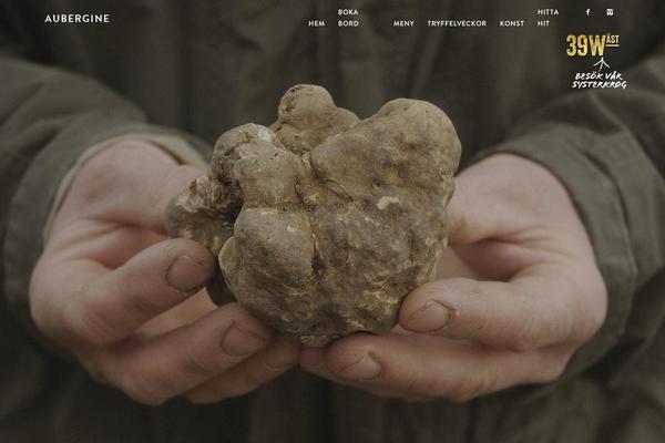 Site using Simple Sticky Footer plugin