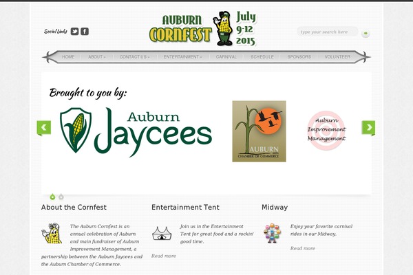 Simple’n’Bright theme site design template sample