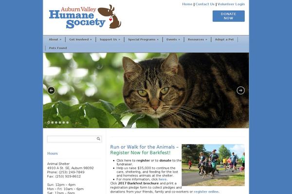 Modernize theme site design template sample