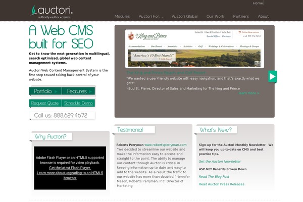 Brightsky theme site design template sample