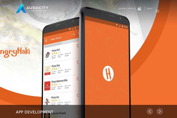 audacityit.com site used Audacity