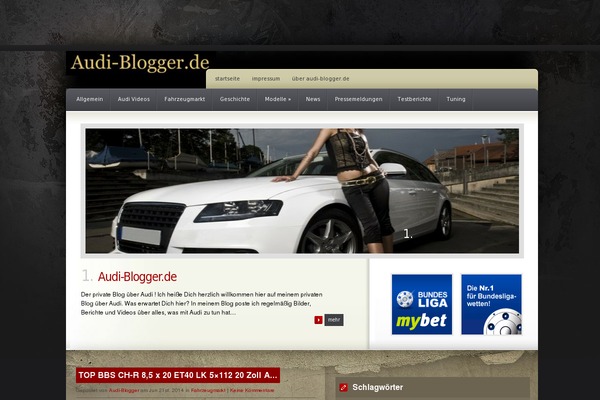 Coldstone theme site design template sample