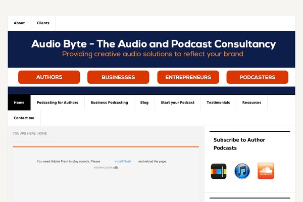 News Pro theme site design template sample