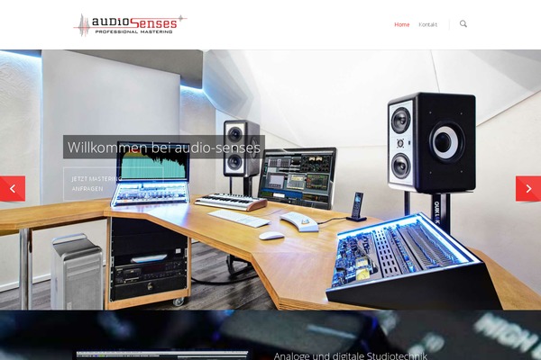 Salient theme site design template sample