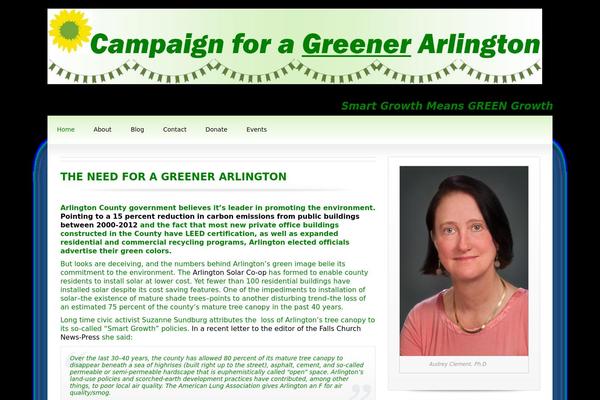 Candidate theme site design template sample