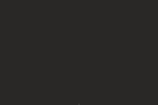 Site using Widget-options plugin