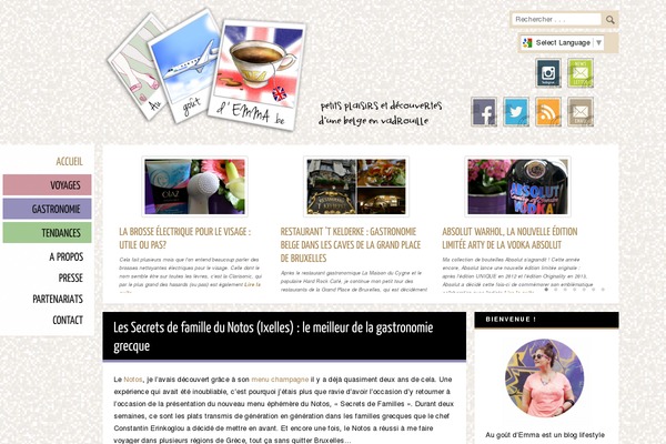 Newspaper theme site design template sample