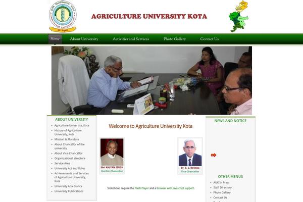 Mag theme site design template sample