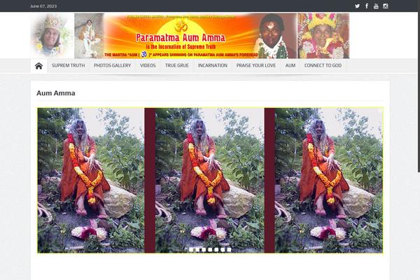 Site using Depicter plugin