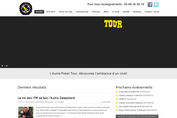 Promotion theme site design template sample