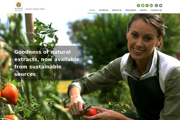 Site using Slick Popup plugin