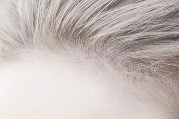 Ego theme site design template sample