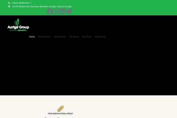 aurigagroup.com site used Agricola