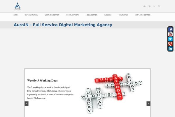 Site using BxSlider WP plugin