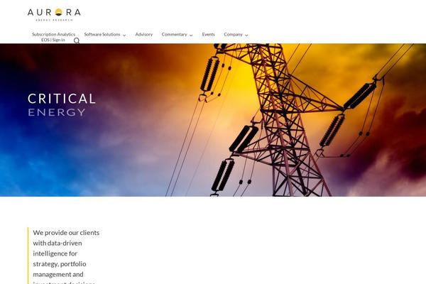 Salient Child theme site design template sample
