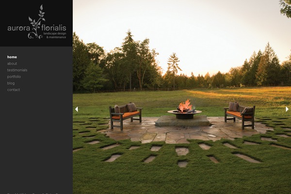 Aurora theme site design template sample
