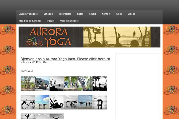 zeeSynergie theme site design template sample