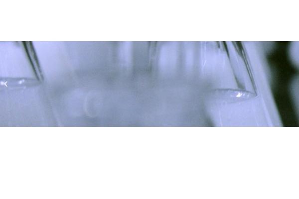 Site using Header-footer-elementor plugin