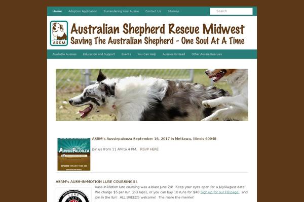 ASRM theme websites examples