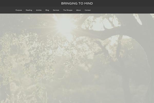 Agency Pro theme site design template sample